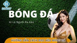 hướng dẫn cách đọc kèo bóng đá SHBET