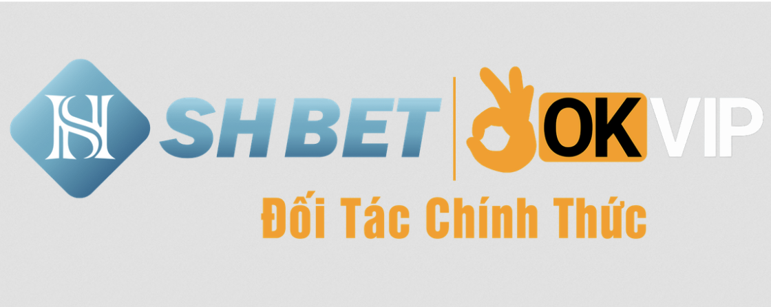 chính sách bảo mật shbetvn